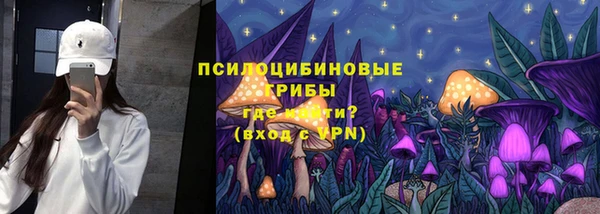 дмт Заволжск