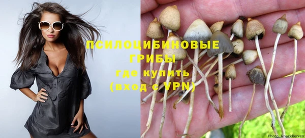 наркотики Ельня